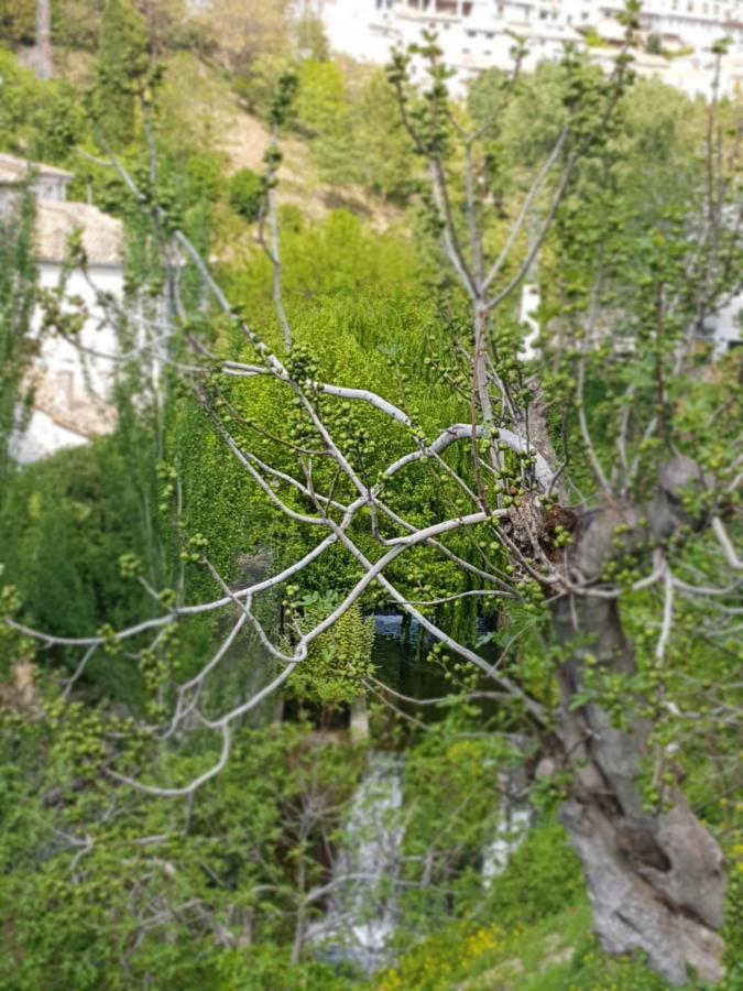Cazorla Centro Διαμέρισμα Εξωτερικό φωτογραφία