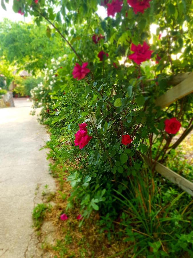 Cazorla Centro Διαμέρισμα Εξωτερικό φωτογραφία